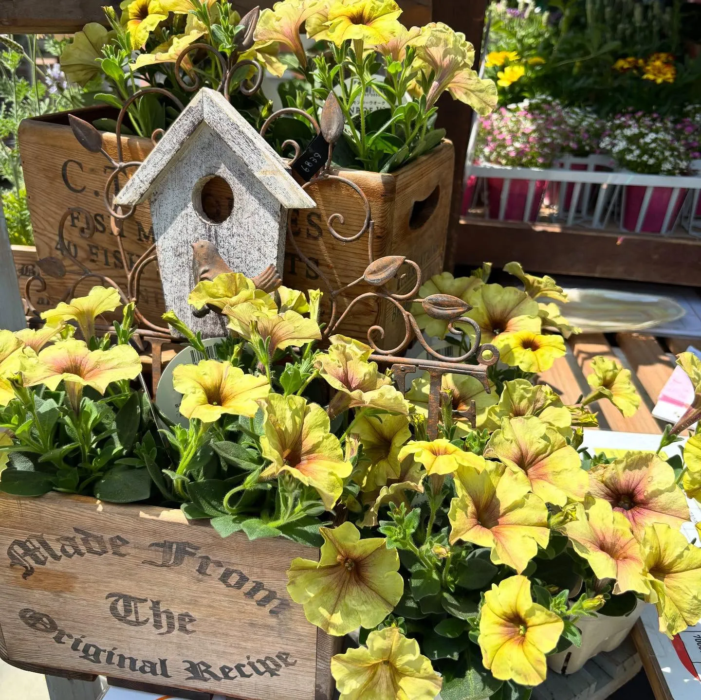 ⚓︎お花の移動販売日ですよ♪