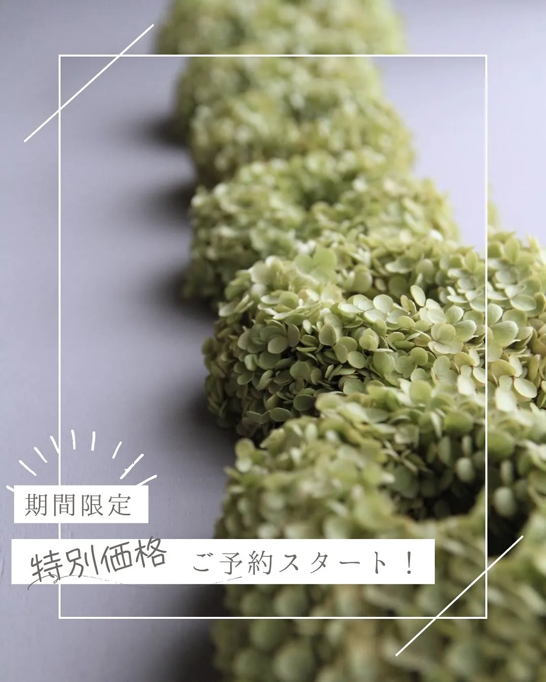 ⚓︎特別なお知らせ📢