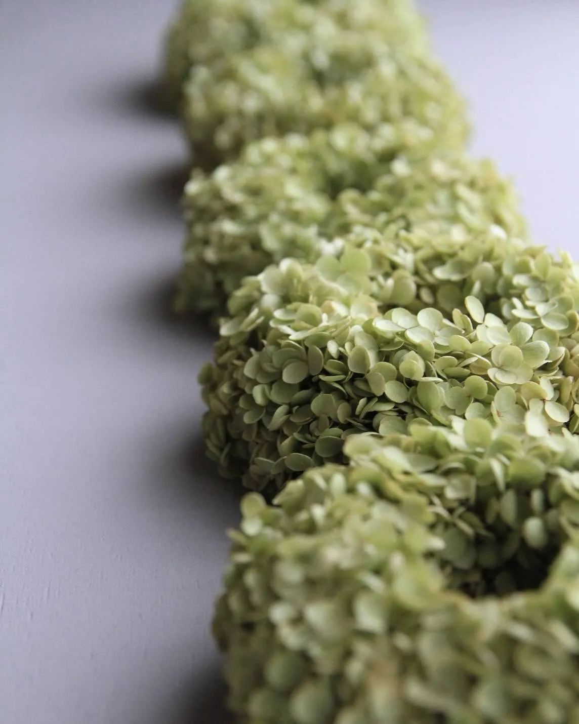 ⚓︎特別なお知らせ📢