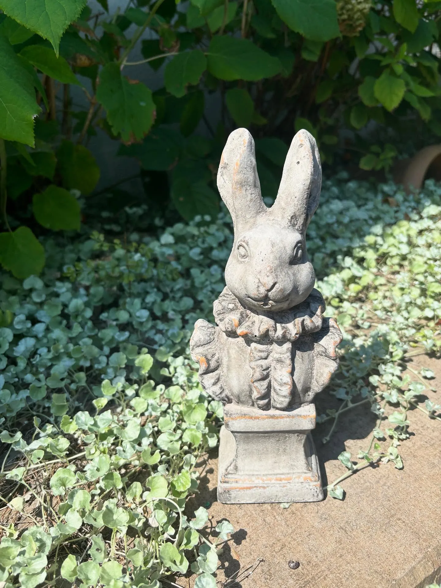 ⚓︎新商品のお知らせ