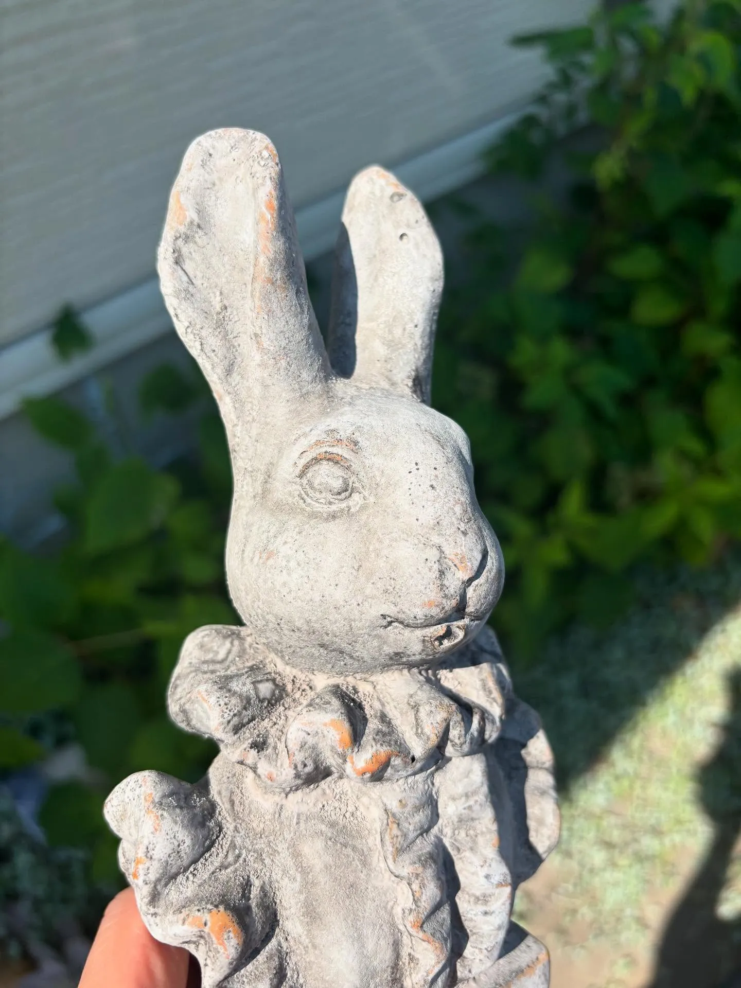 ⚓︎新商品のお知らせ