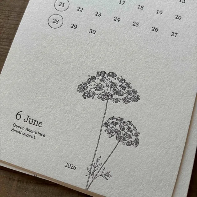 レタープレスカレンダー2026♪