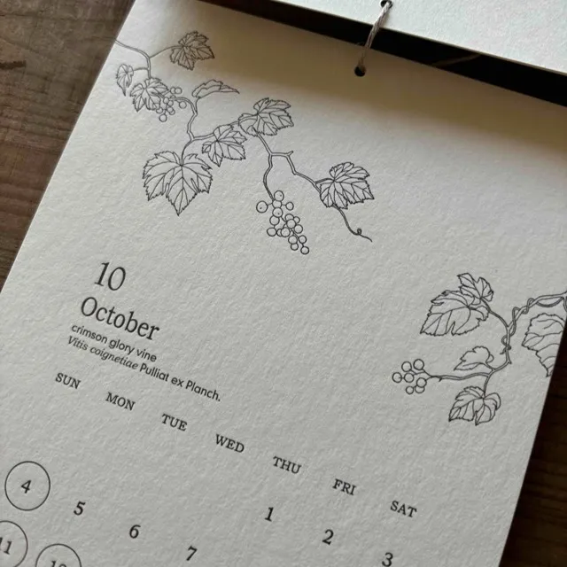 レタープレスカレンダー2026♪