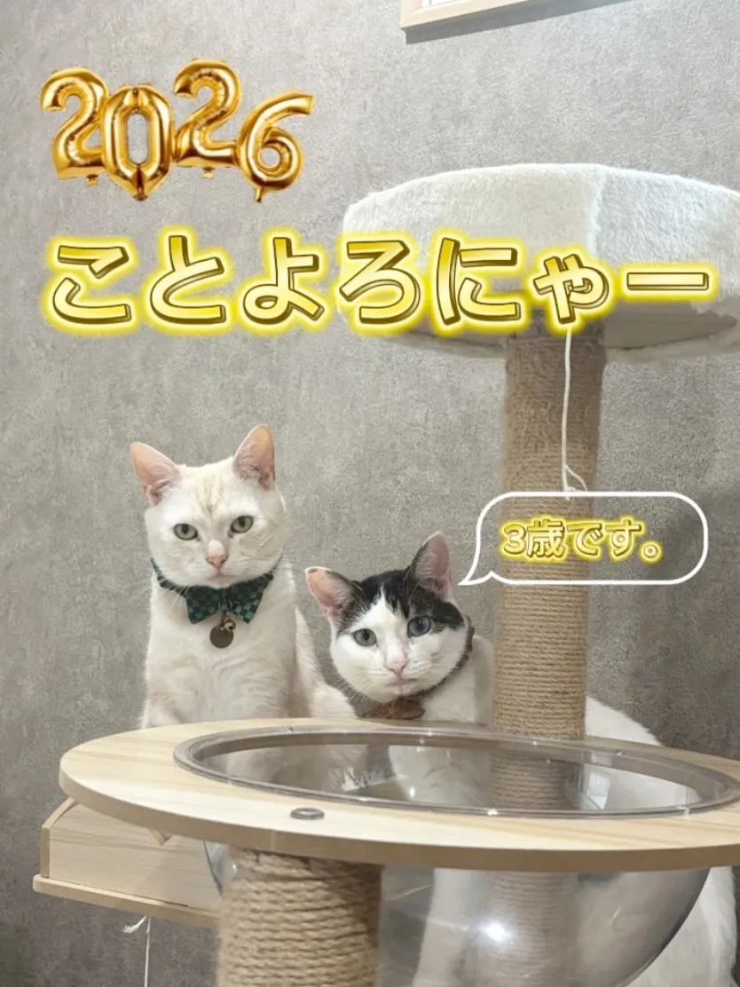 ⚓︎年始のご挨拶