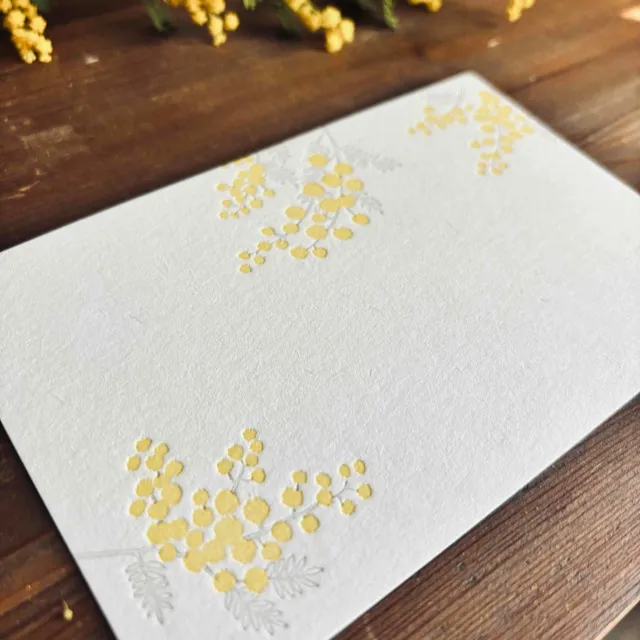 やさしいミモザが描かれた