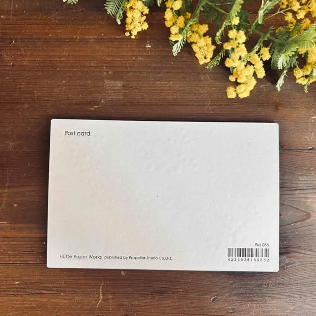 やさしいミモザが描かれた