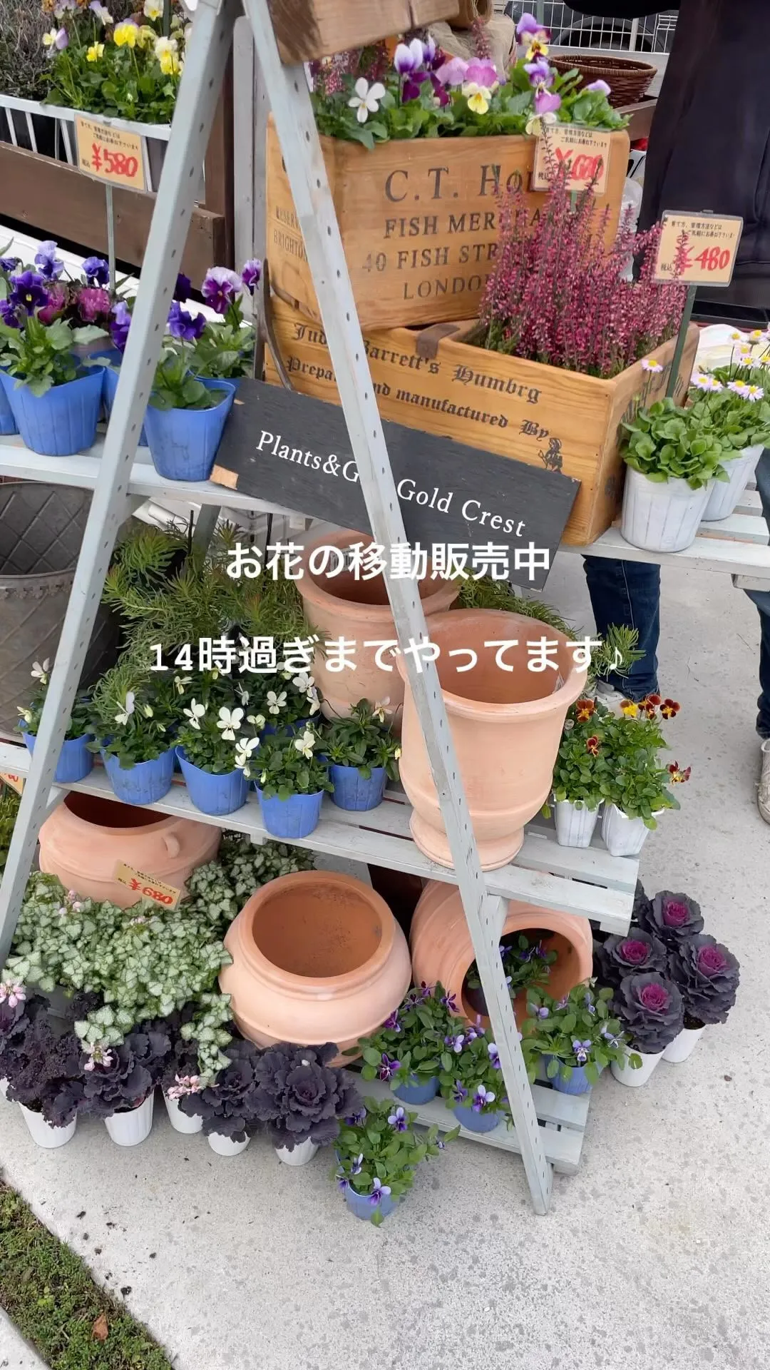 ⚓︎お花の移動販売中です♪