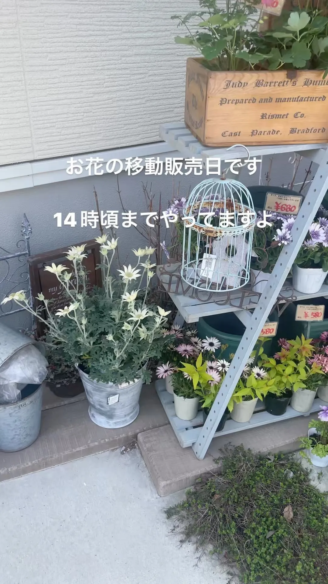 ⚓︎お花の移動販売日