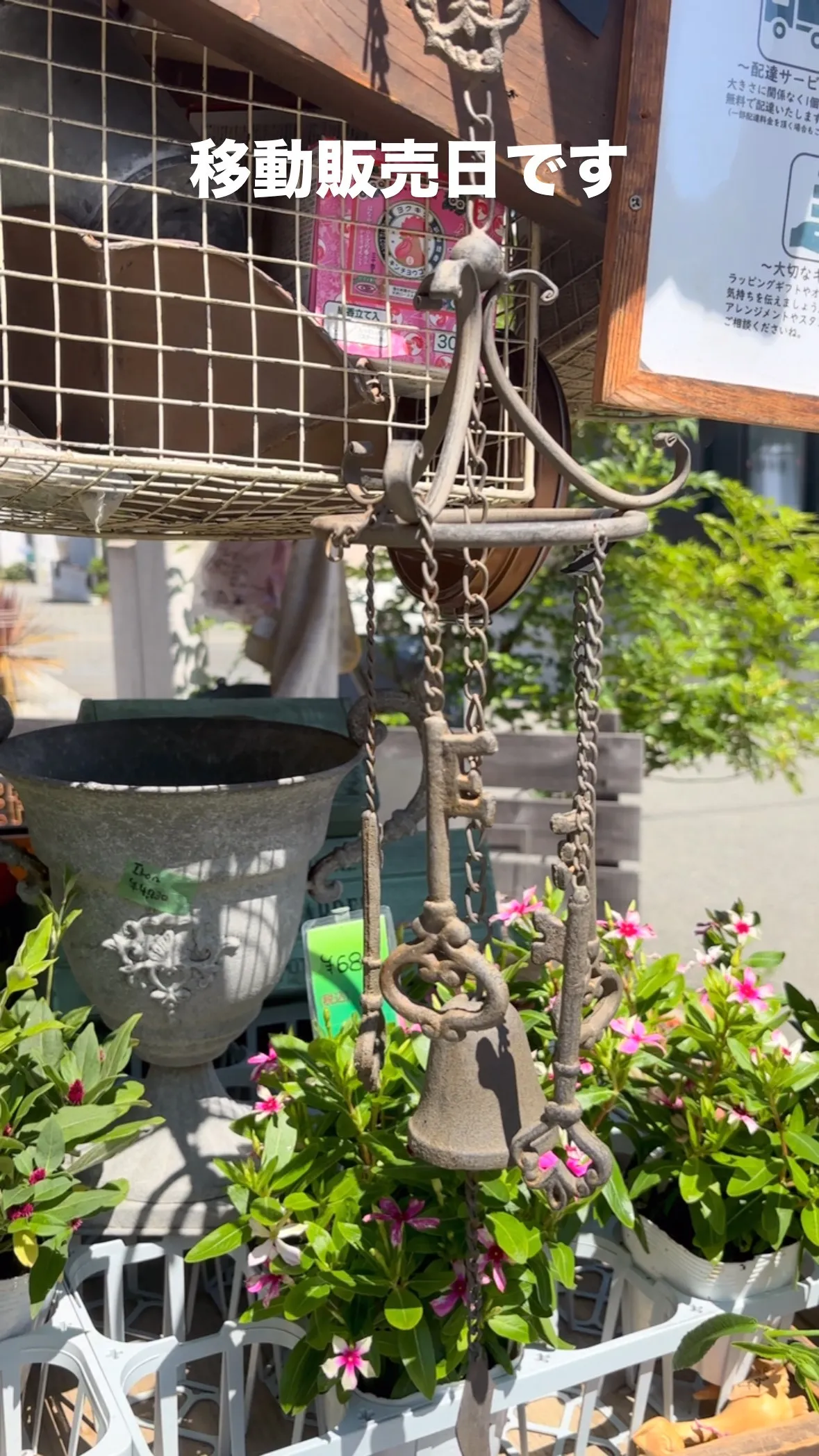 ⚓︎本日は、お得なSALE開催中‼️