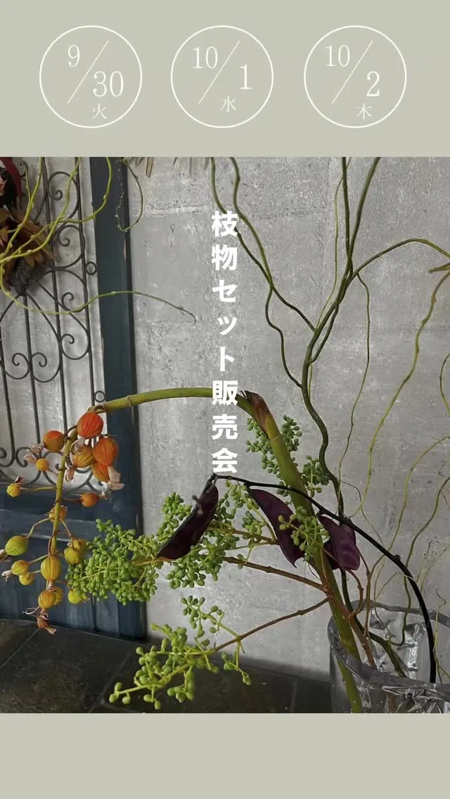 ⚓︎枝物セット販売会のお知らせ